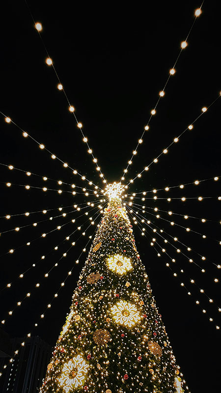 Animations de Noel Presqu'île de Rhuys et Vannes