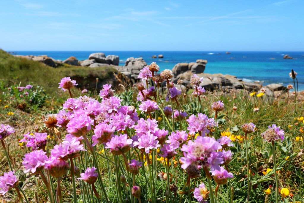 Les grandes marées du golfe du Morbihan