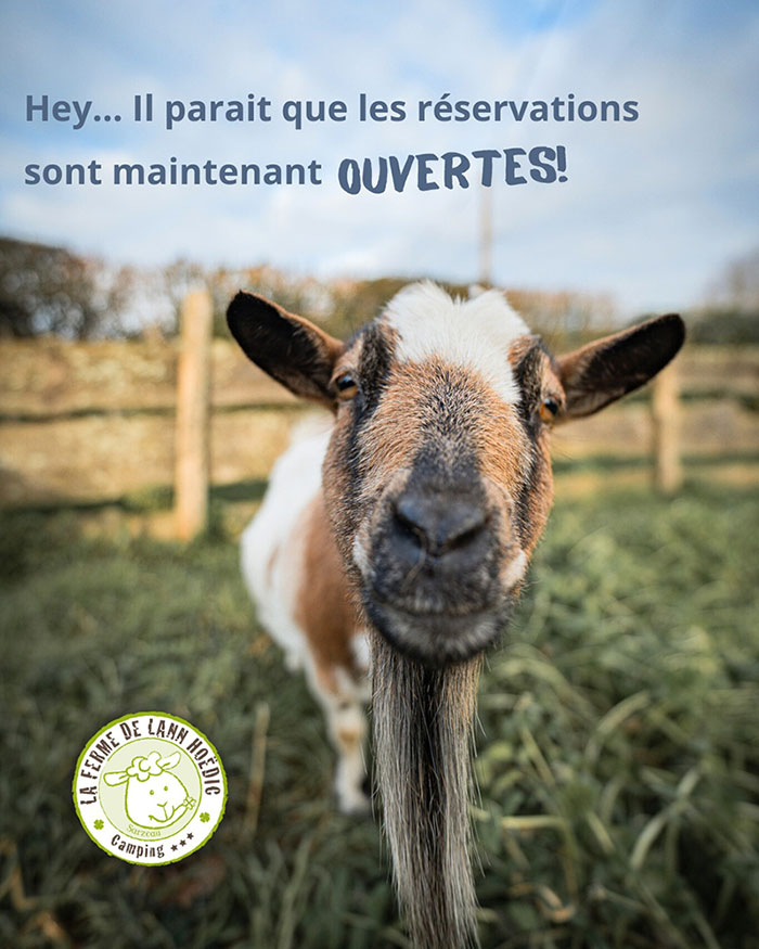 Ouveture des réservations 2026 Camping La Ferme de Lann Hoedic